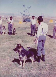 perros policia