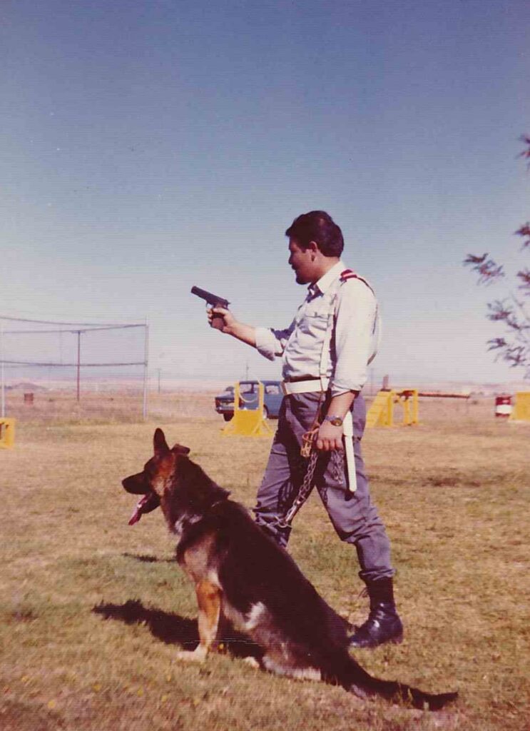 pastor alemán perros policía
