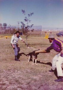 pastor alemán perros policía