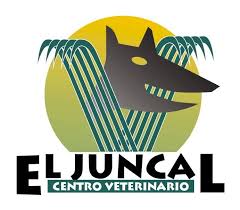 clínica el juncal