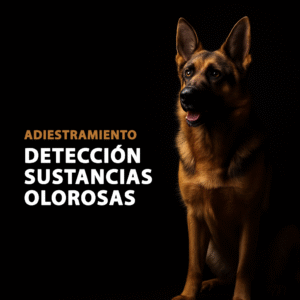 Adiestramiento detección sustancias olorosas en Madrid