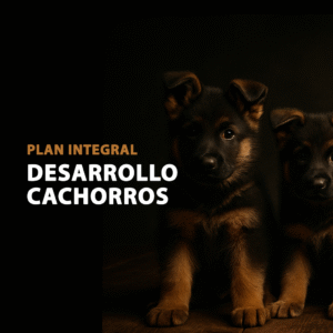 Plan Integral desarrollo para cachorros en Madrid