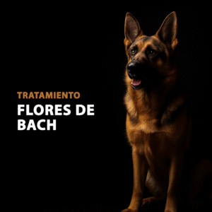 Tratamiento con flores de Bach
