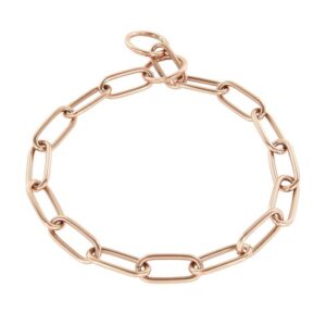 Collar de adiestramiento para perros.